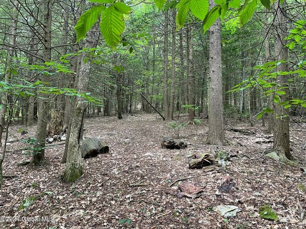 L15.1 High Pine Meadows Road, Fulton, NY 12122