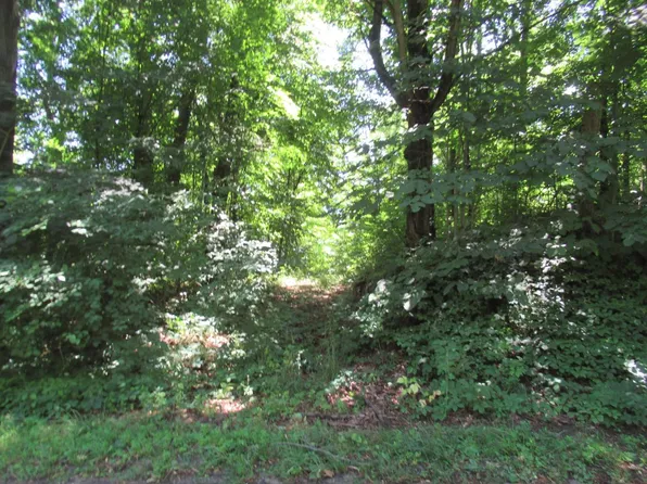 Dutch Settlement St, Cassopolis, MI 49031