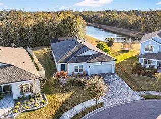 30801 Parrot Reef Ct, Wesley Chapel, FL 33545