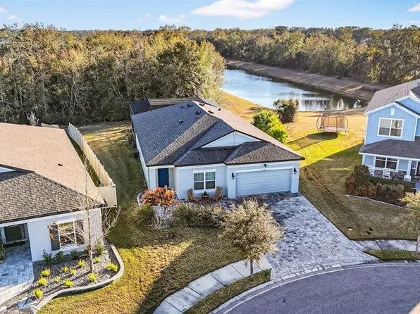 30801 Parrot Reef Ct, Wesley Chapel, FL 33545