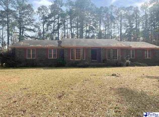 626 Canal St, Olanta, SC 29114