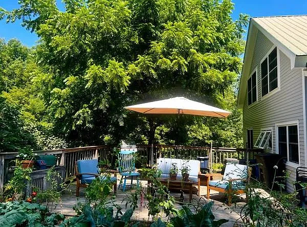 3 bed, 2000 sqft, $3,000 — Photo 4
