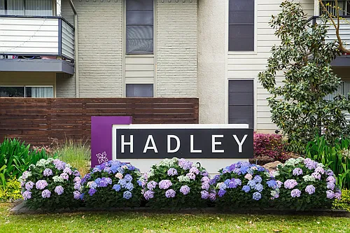 Hadley at Bellmar Photo 1