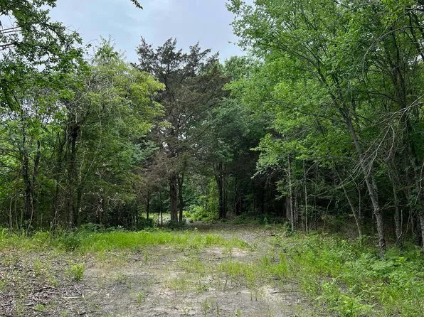 County Road 455, Mineola, TX 75773