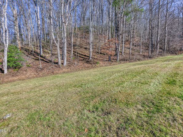117 Buckner Dr, Roan Mountain, TN 37687