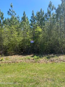 Stonegate Cir LOT 26, Perkinston, MS, 39573