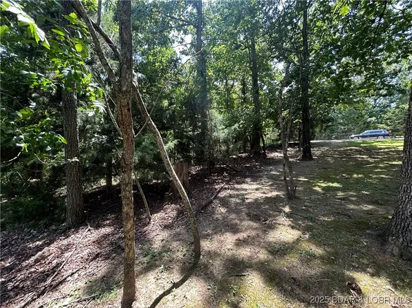29 Cornett Dr, Lake Ozark, MO 65049