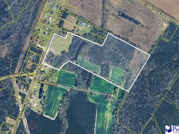 Francis Marion Rd, Pamplico, SC 29583