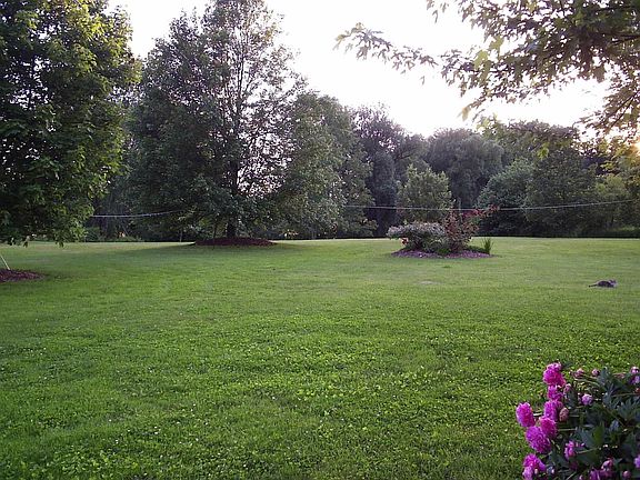 Park like yard