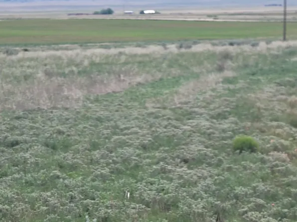 22 Colella Rd, Stanley, NM 87056