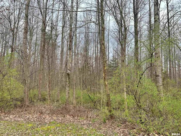 Fish Farm Rd, Golconda, IL 62938