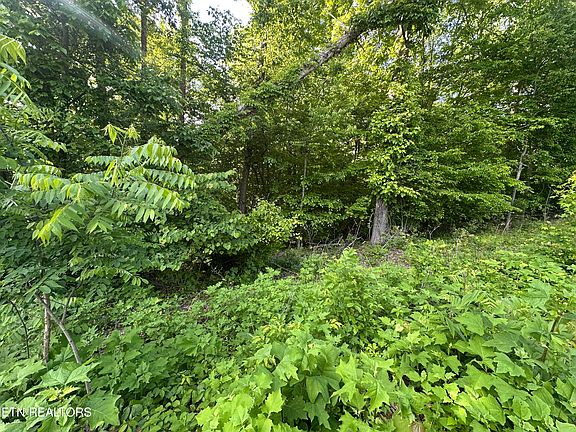 4th image of Pine Hollow Rd