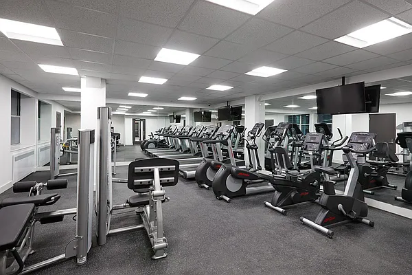 Rented by Corcoran | media 14