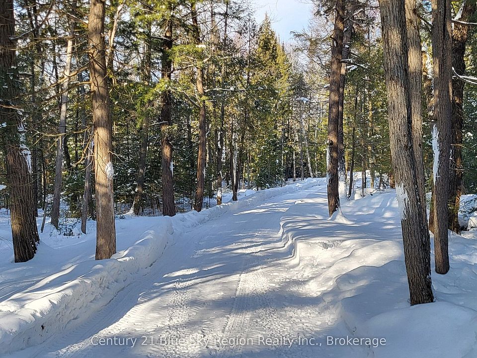 1st image of 97 Maple Rd