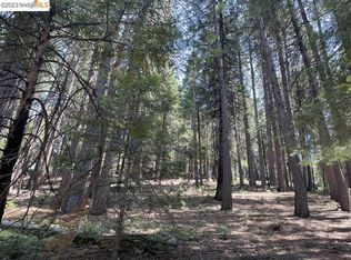 833 Summit View Rd, Arnold, CA 95223