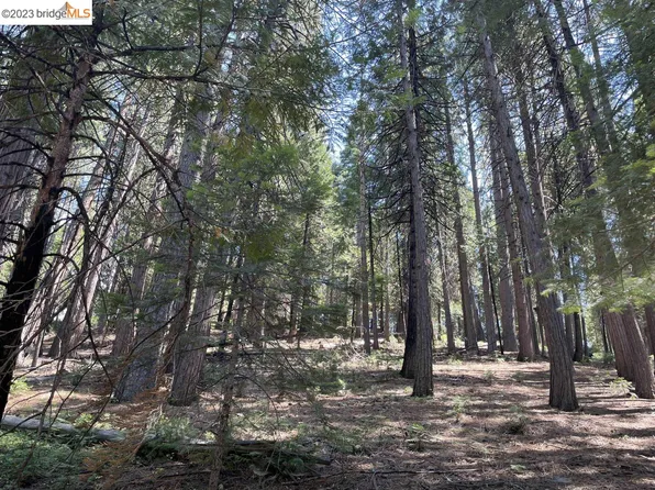 833 Summit View Rd, Arnold, CA 95223