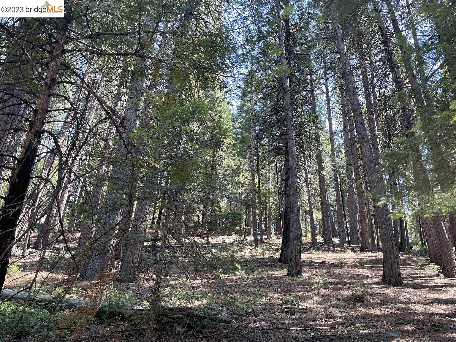 833 Summit View Rd photo 1