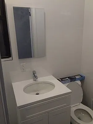 Rented by Eric Goodman Realty Corp | media 29