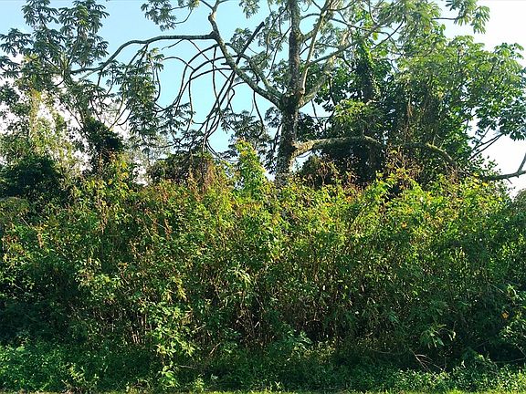 2nd image of Ainaloa Dr Lot 44