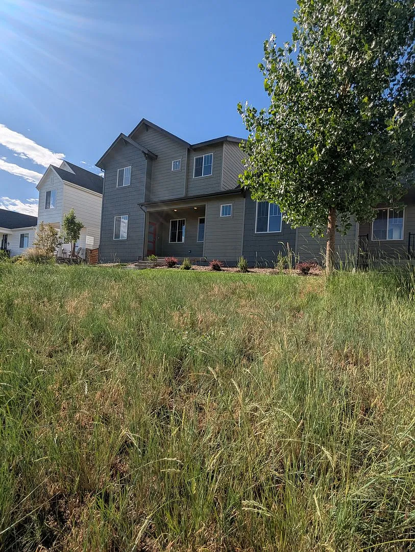 Nearly New Home For Rent In Timnath Trailside Community! Ready For August 1st Occupancy! — Photo 2
