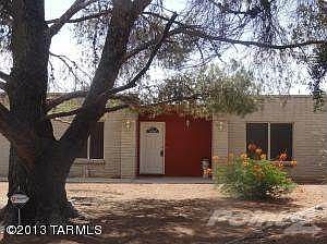 STATELY PINE PROVIDES SHADE