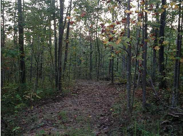 1st image of 1 Payne Cove Dr #1