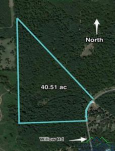 Willow Rd, Hallsville, TX, 75650