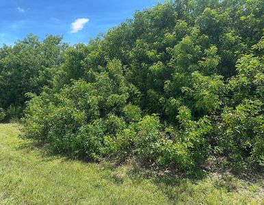 0 SW Village Sw Parkway SW, Pt Saint Lucie, FL, 34987