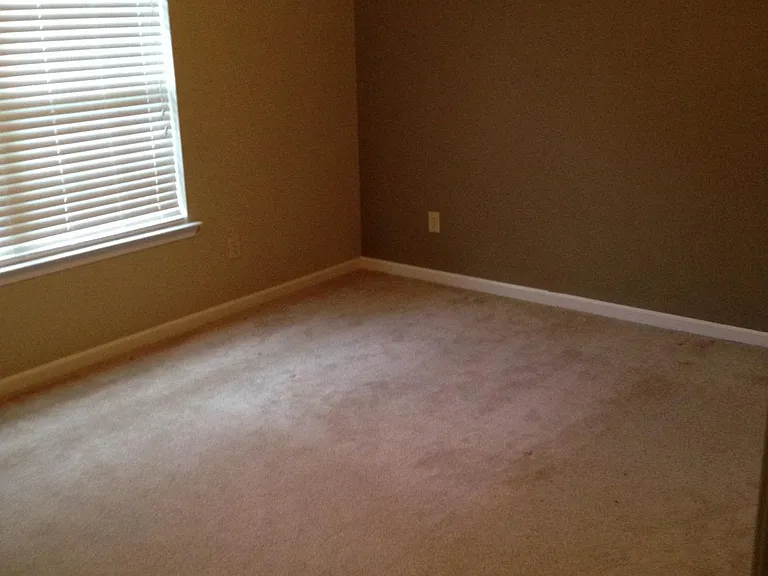 341 Plum Hollow Blvd — Photo 14