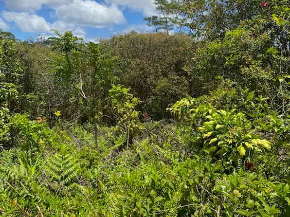 D Rd, Mountain View, HI 96771