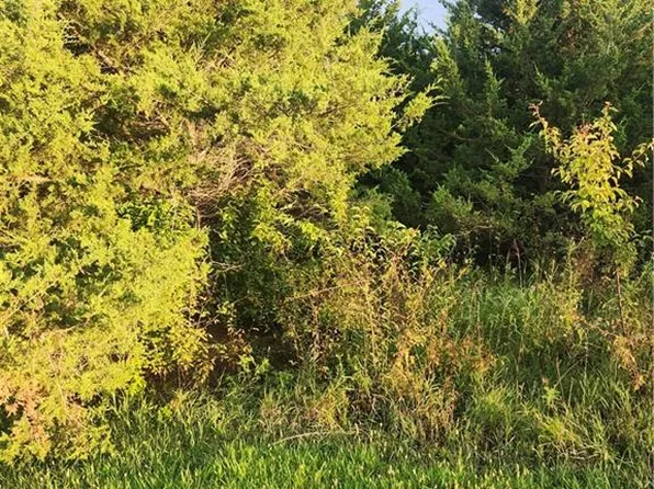 50 Maple Dr, Linn Valley, KS 66040