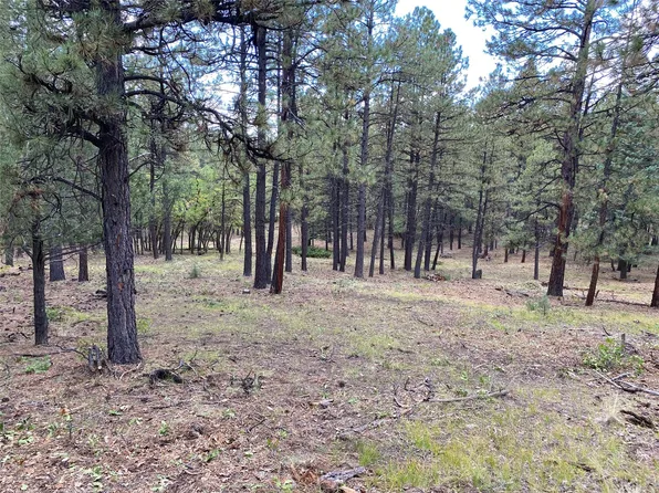 Pinos Real, Chama, NM 87520