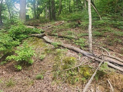 Id19 Shady Grove Rd, Holladay, TN, 38341