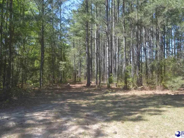 1700 14th St, Hartsville, SC 29550
