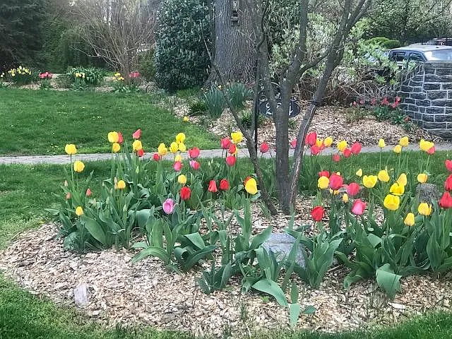 3000+ Flowers That Bloom From February to November