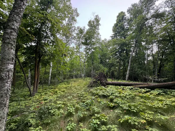 Tbd5 Cedar Dr, Nevis, MN 56467