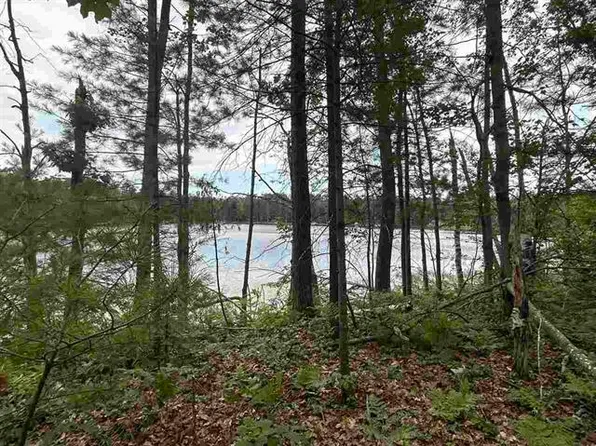 LOT 27 Perch Lake Rd, Gaylord, MI 49735