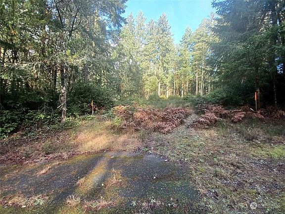 5th image of 12029 Country Club Drive