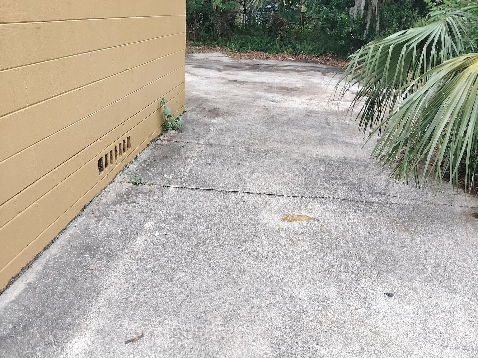 3 bed, 1128 sqft, $1,100 — Photo 4