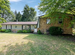 3799 Vandemark Rd, Litchfield, OH 44253