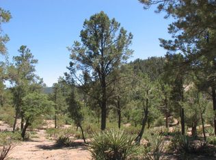 607 E Pine Strm #108, Payson, AZ 85541