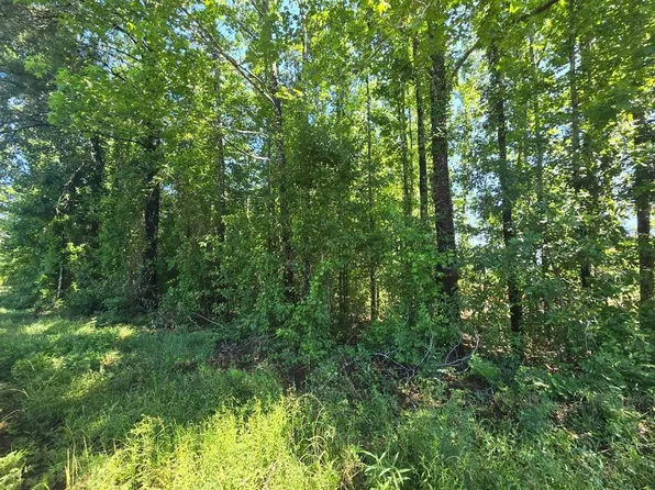 Pid16460 Cres #2120, Burkeville, TX 75932