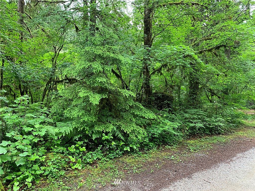 63783 W Cascade Drive Lot 17, Marblemount, WA 98267 Zillow