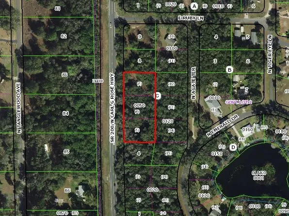 5075 N Carl G Rose Hwy, Hernando, FL 34442