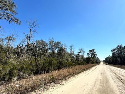 000 NE 67th Ln, Williston, FL, 32696