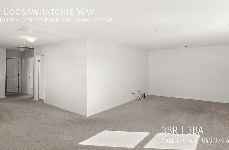 16 Coosawhatchie Way — Photo 20