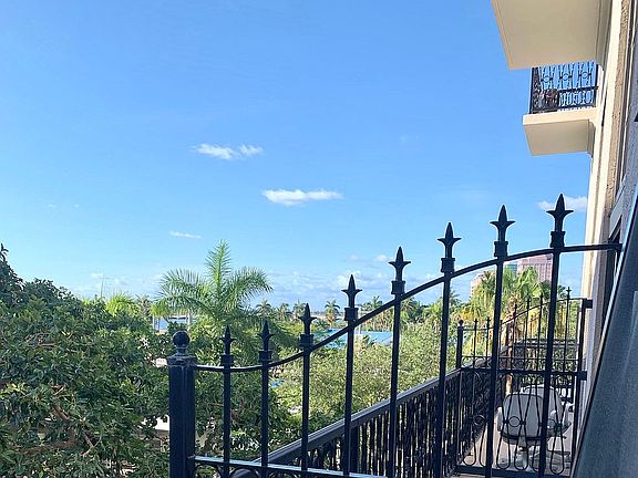 View of Park & Palm Trees