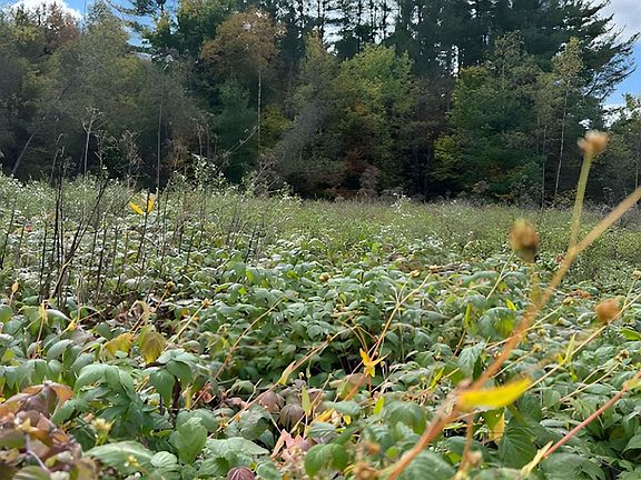 2nd image of 843 River Road