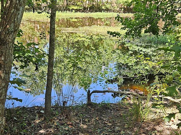 2nd image of 207 County Road 2210