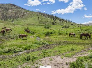 162 Sara Ln, Livermore, CO 80536